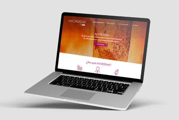 Microsim